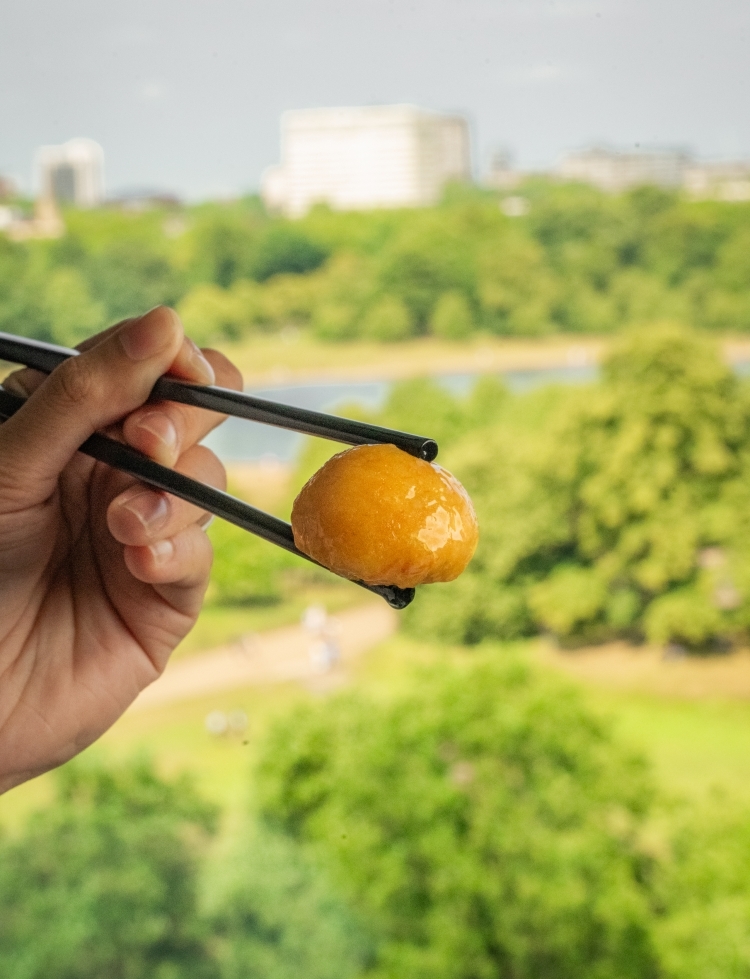 Min Jiang Steamed Dim Sum Platter with View of Kensington Gardens